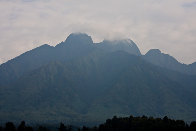 Virunga National Park