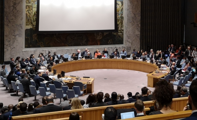 Security Council Climate Change Debate 25 January 2019