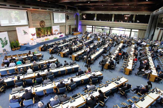 UN Environment Assembly