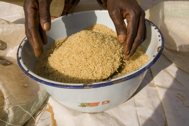 NIgeria Rice