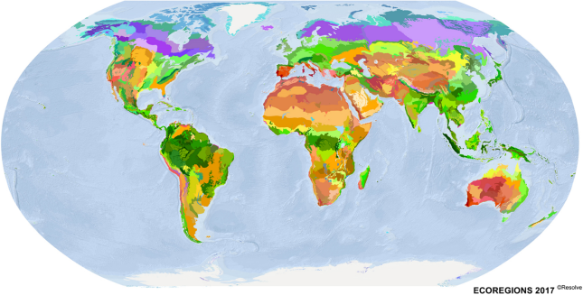 Earthday Picture