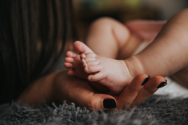 alex-pasarelu-223684-unsplash