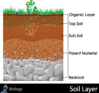 thumbnail_shutterstock_155635208