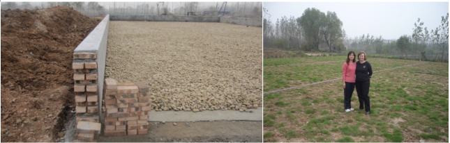 Screen Shot 2019-05-08 at 10.52.26 AM