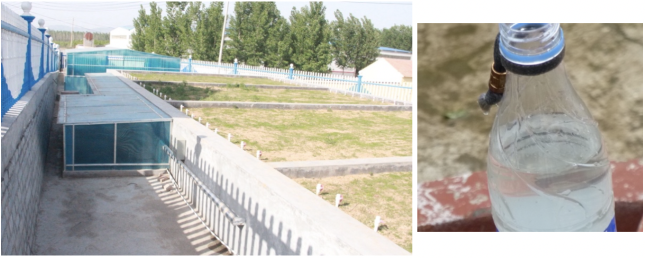 Screen Shot 2019-05-08 at 10.53.07 AM