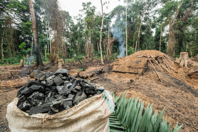 Informal charcoal production near Yangambi, DRC.