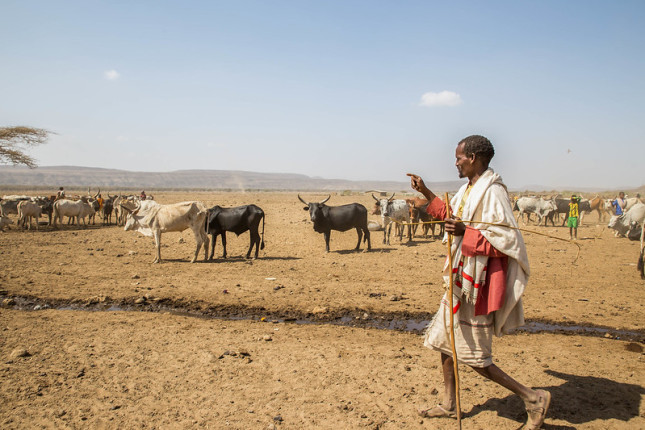 Drought in Ethiopia