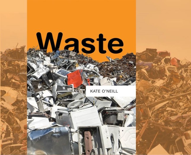 Kate cover - Amanda Mei