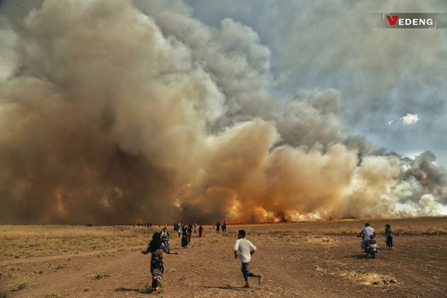 Syria_BurningCrop_FB