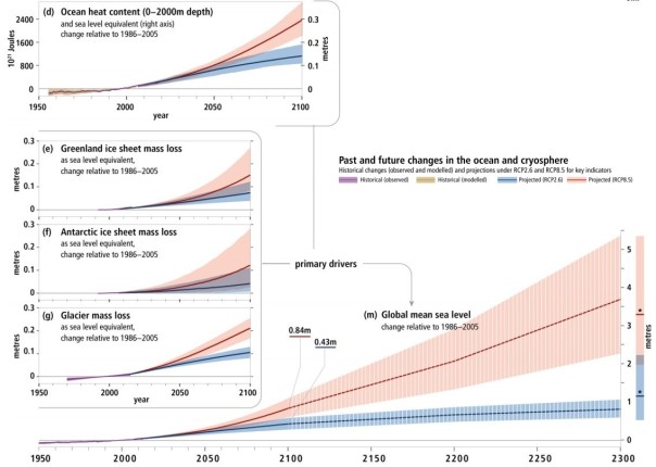 Click to view full size check