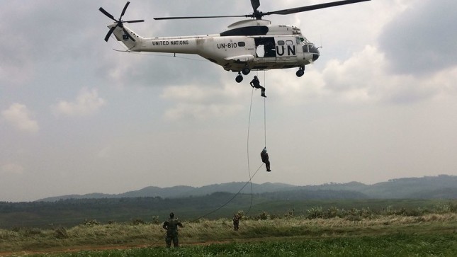 28112004369_c819cd4d35_c