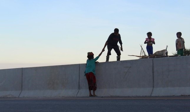 Road-Crossing-e1575312580576 382