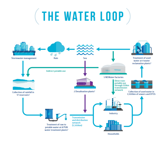 The Water Loop