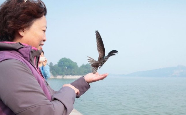 birding beijing