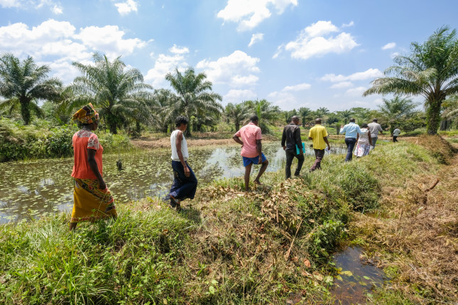 Pisciculture workshop in Kisangani - DRC. Photo by Axel Fassio/CIFOR cifor.org forestsnews.cifor.org If you use one of our photos, please credit it accordingly and let us know. You can reach us through our Flickr account or at: cifor-mediainfo@cgiar.org and m.edliadi@cgiar.org