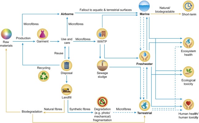 A workflow of the textile supply chain and potential release of microfibers.