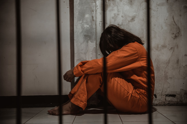 ReproJustice_Prisons_image