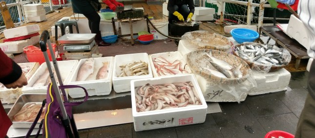 Aberdeen Harbour, Hong Kong_fish boxes polystyrene 2017 (3)