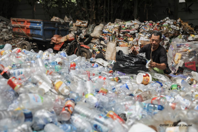 Waste collecting in Malaysia, WWF:Yunaidi Joepoet