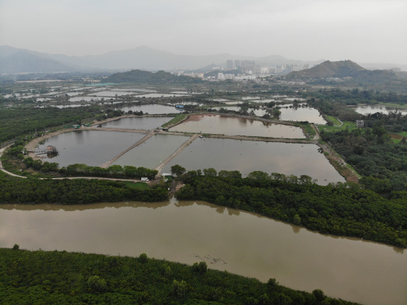 Drone photo showing fishponds in New Territories and signs of urban creep