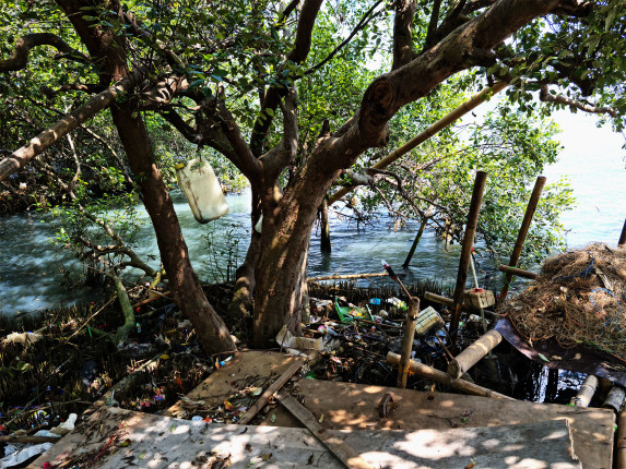 plastic waste pollution in a tree