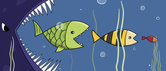Big Fish to Little Fish