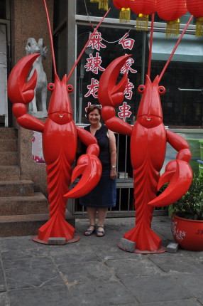DSC_1354 (1)