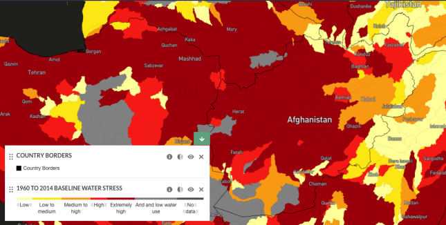 Screen Shot 2021-08-16 at 12.51.46 PM