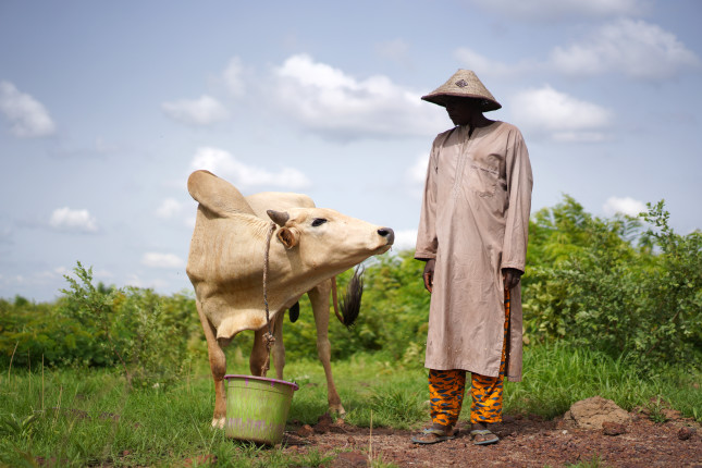 West,African,Sheperd,Watering,His,Animals,At,A,Natural,Pool