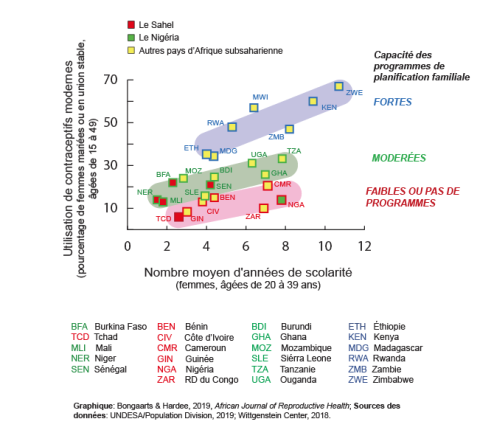 Youthful Demographics French 4