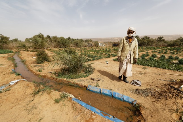 Maaden,El-ervane,,Mauritania,-,January,14,,2020:,Farmer,At,Maaden,