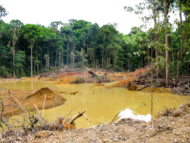 Rainforest destruction. Gold mining place in Guyana