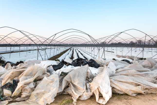 Agriculture,Plastic,Film,Waste