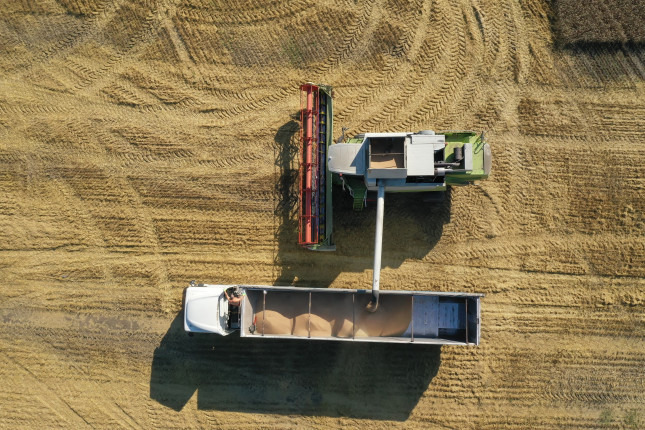 Harvesting,Of,Wheat,In,Summer.,Harvesters,Working,In,The,Field.