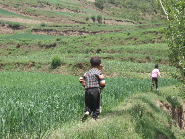 Children running in the countryside (wheatfields)