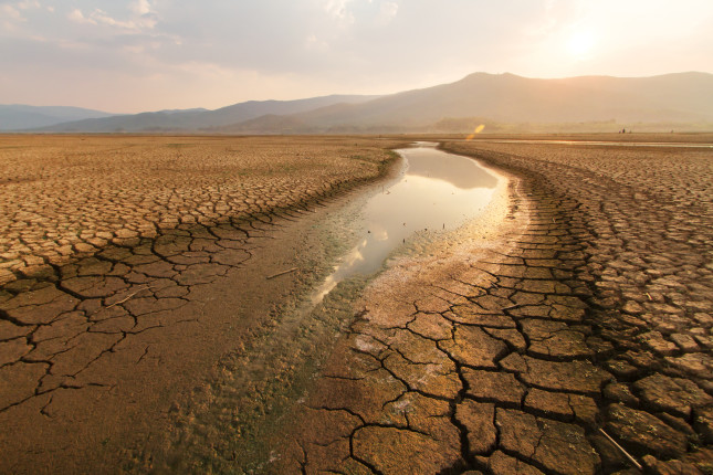 Dried,Lake,And,River,On,Summer,,Water,Crisis,And,Drouht
