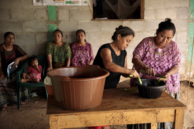 Indigenous women of GuatemalaÕs Polochic valley are feeding their families, growing their businesses and saving more money than ever before, with the help of a joint UN programme thatÕs empowering rural women.  Pictured: Women from Aldea Campur, in Alta Verapaz, make, market and package their own shampoo, earning extra income for themselves and for their families.  The Joint Programme on Accelerating Progress towards the Economic Empowerment of Rural Women by FAO, WFP, IFAD and UN Women is working to advance advance gender equality and economic empowerment of women in Ethiopia, Guatemala, Kyrgyzstan, Liberia, Nepal, Niger and Rwanda. In Guatemala, the programme started in 2015, with funding from Norway and Sweden, supporting rural women to develop a range of skills, from sustainable agricultural practices to marketing organic shampoo and learning solar engineering. With better knowledge of their own rights and access to skills, credit and income, women participants can make more decisions within their homes and participate in municipal spaces. Read More: http://www.unwomen.org/en/news/stories/2018/7/feature-guatemala-saving-for-a-rainy-day Photo: UN Women/Ryan Brown