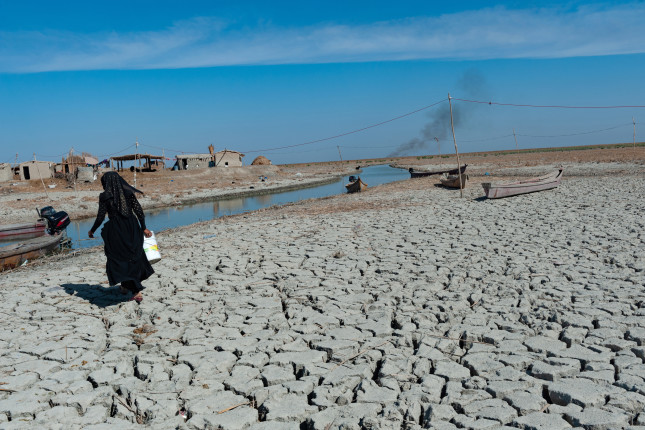 Al-chibayish,,Iraq.,November,1st,2018,A,Marsh,Arab,Woman,Collecting