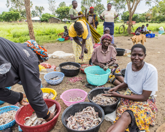 2017,Sept,7,Fishing,Village,,Lake,Victoria,,Kisumu,County,,Kenya,africa.