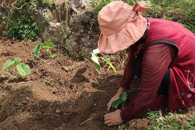 20230810_Naxi woman working in the terraced fields_Mira Qi_China Dialogue