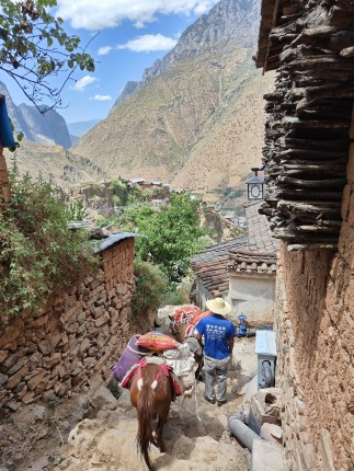 20230810_Villagers using mules to transport goods_Mira Qi_China Dialogue