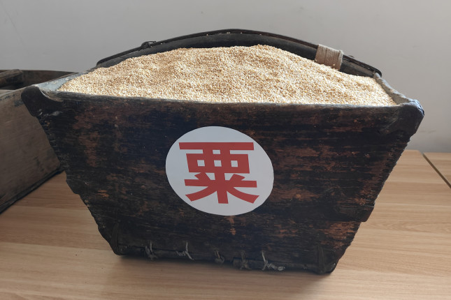 20230810_a seed bank in Wangjiazhuang_Mira Qi_China Dialogue