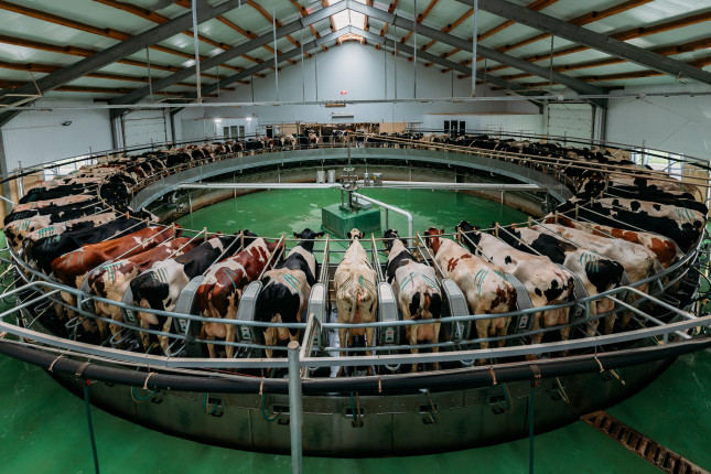 Dairy carousel