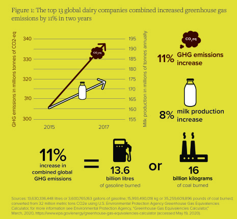 Top 13 global dairy companies