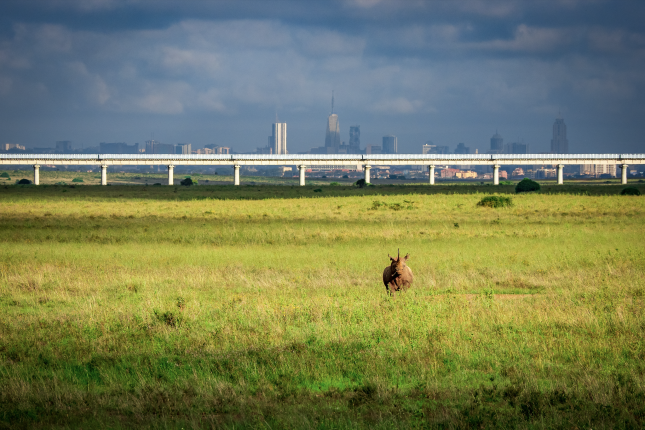China rail export