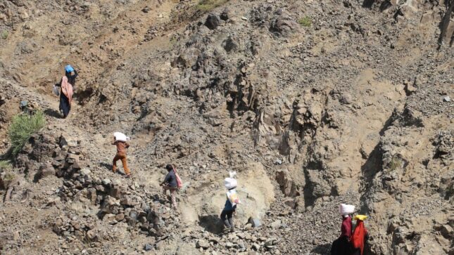 Can Climate Security Survive the Crisis of Multilateralism?